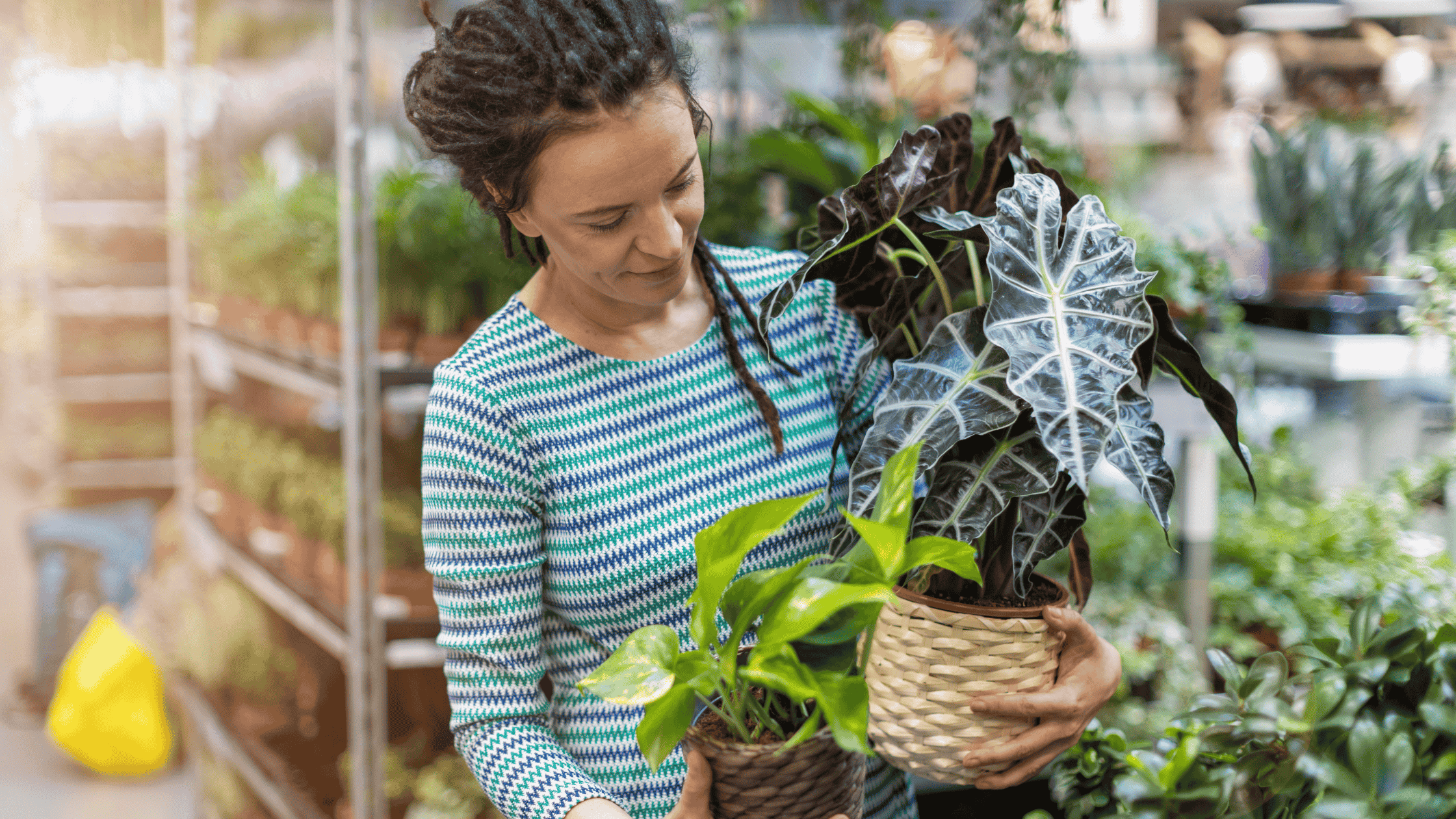 mulher segurando um vaso de plantas dentro de uma floricultura